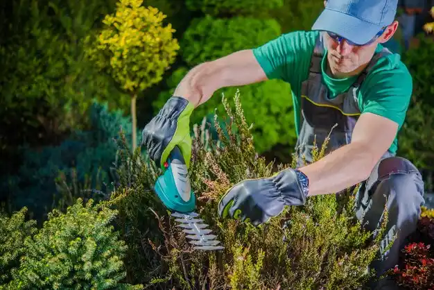 landscaping services Baywood